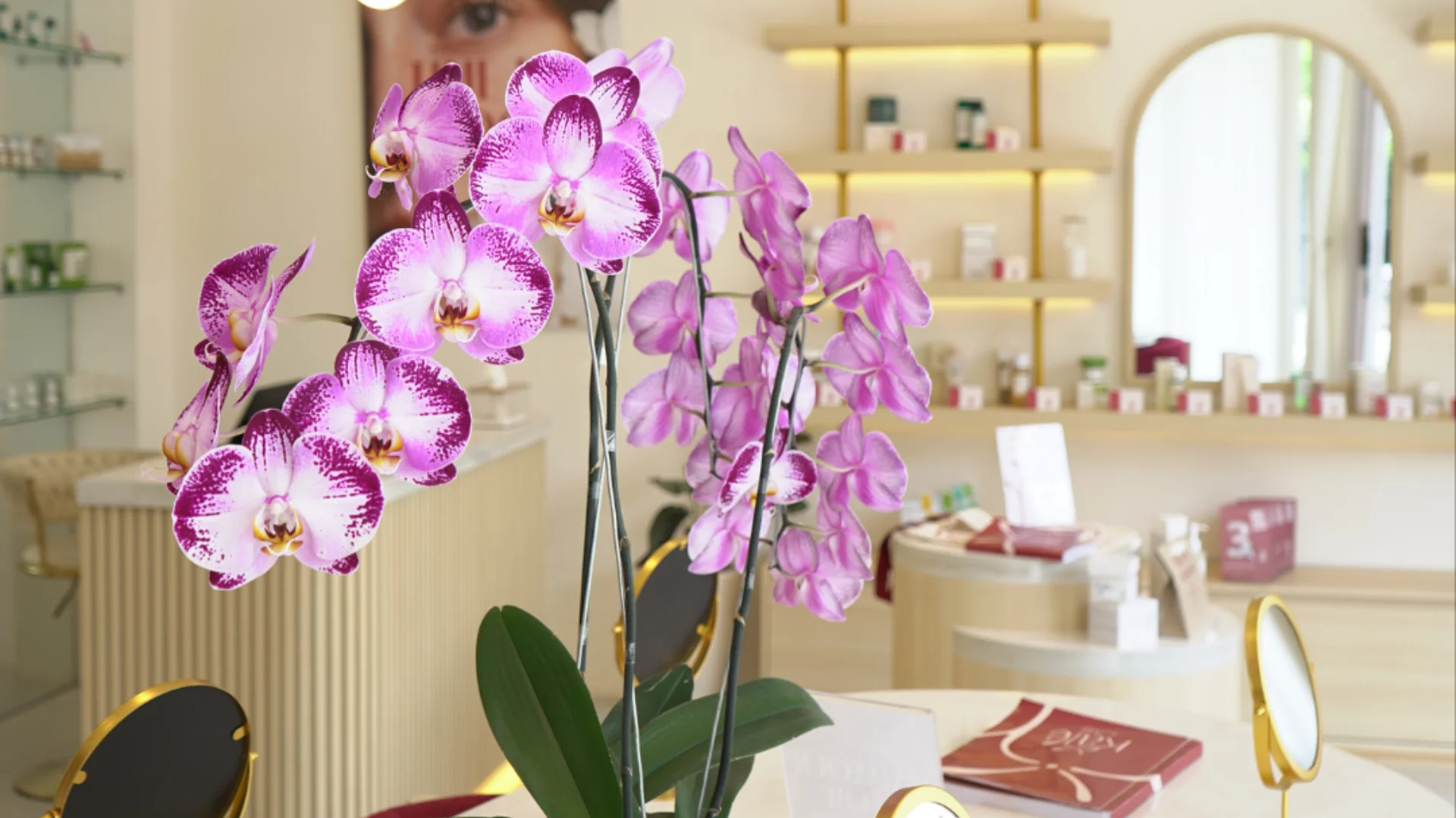 KareLab Korean skincare store in Canggu, Bali